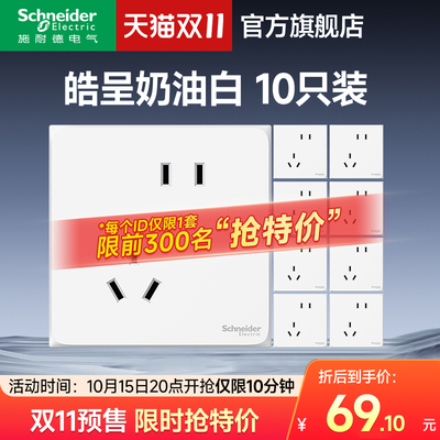 【双11】施耐德皓呈白五孔10只装