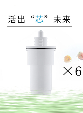 适用于奥克斯AU07滤水壶A005 松克sowkoge SK-120 得波dabble滤芯