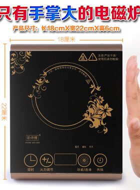 电磁炉小型不锈钢烧水壶学生宿舍家用火锅炉迷你煮茶功夫茶具套装