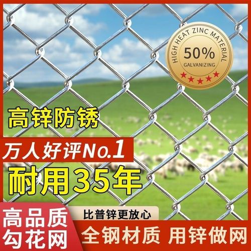 热镀锌钢b丝围栏网养鹿勾花网养狗钢丝网加粗牛羊护栏网鱼塘防护