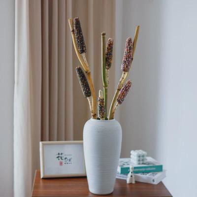 小玉米花束云南直发室内高级v感装饰插花小众花材鲜切干花枝条真