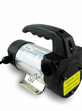 新定制 小型正反转电动抽油泵12Vy24V220V直流柴油泵手动加油泵