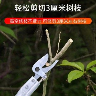 园林高枝粗枝果树剪高空剪枝剪树枝剪刀省力修树锯加T长至X2.5m神