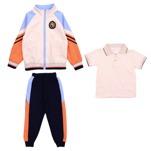 小学生校服套装夏季幼儿园园服夏天演出服儿童班服紫色春秋四件套