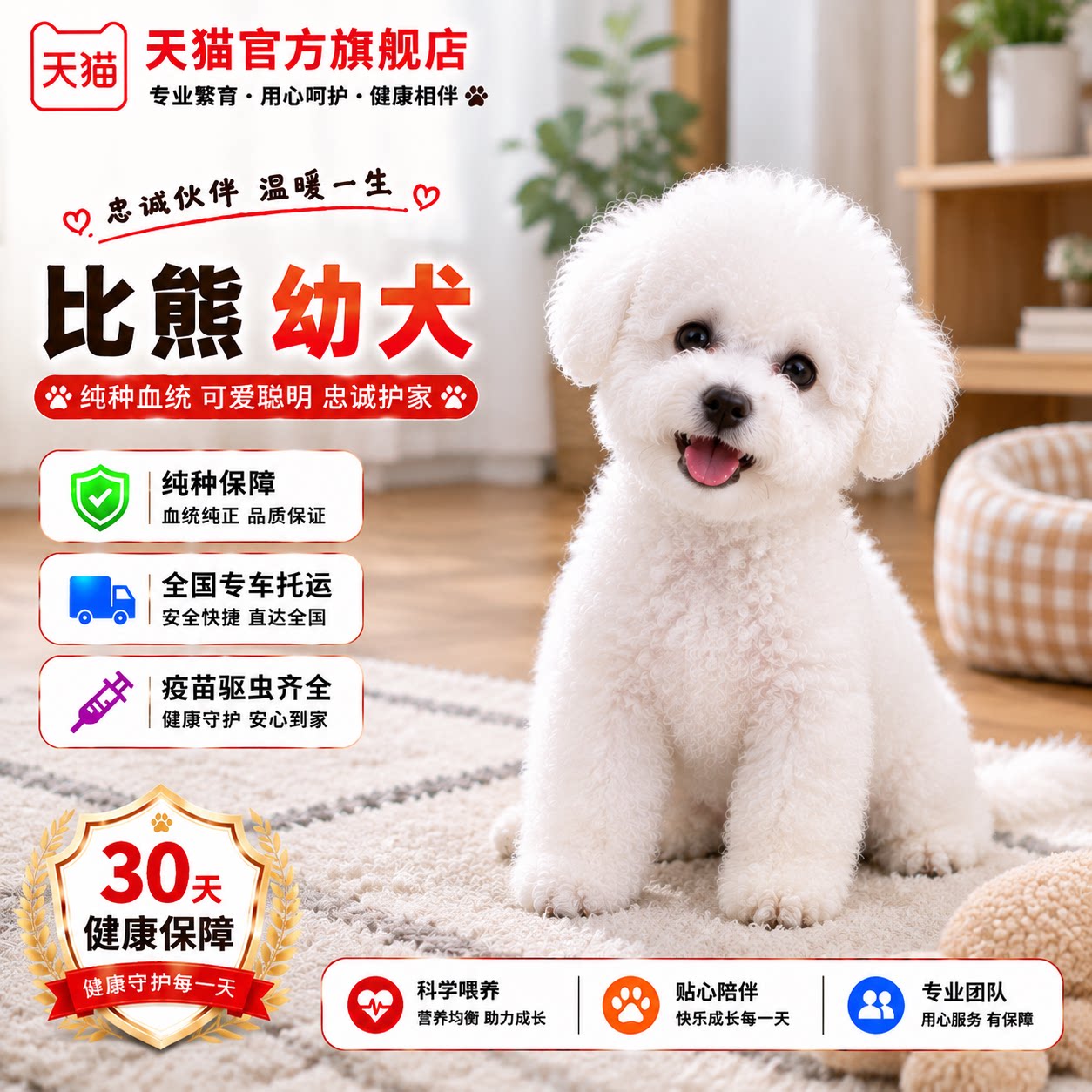 圆脸迷你犬犬长不大家养超萌可爱