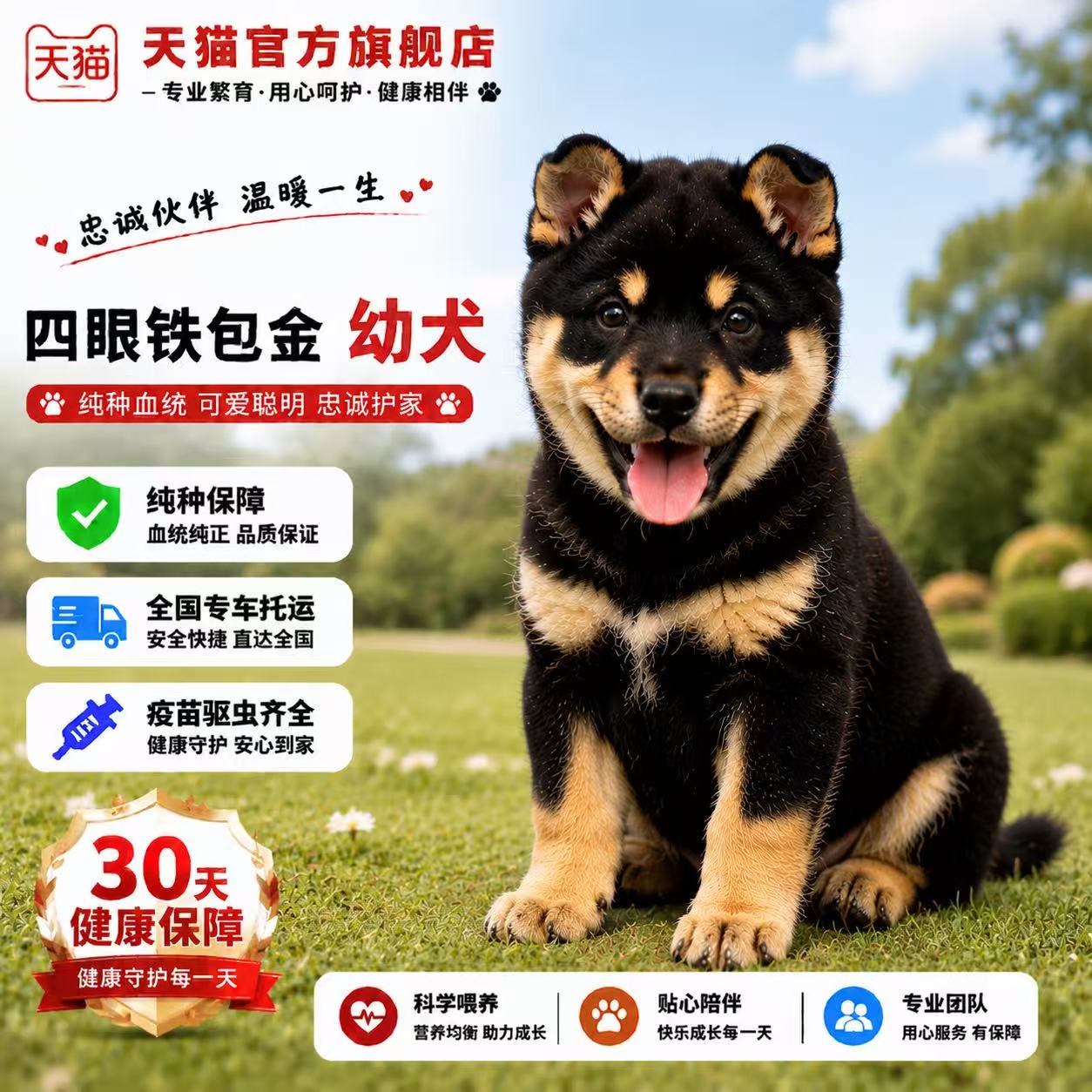 好看小狗狗活体狗短毛护主正宗