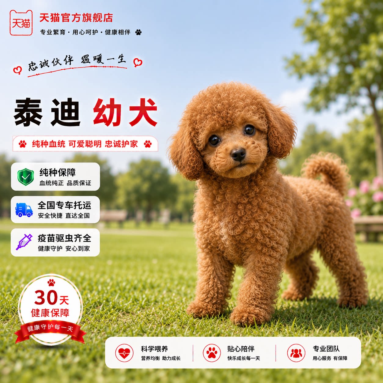 网红可爱超萌宠物便宜陪伴红棕色