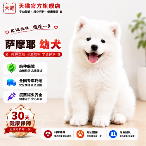 粘人大骨架纯白网红微笑天使好养