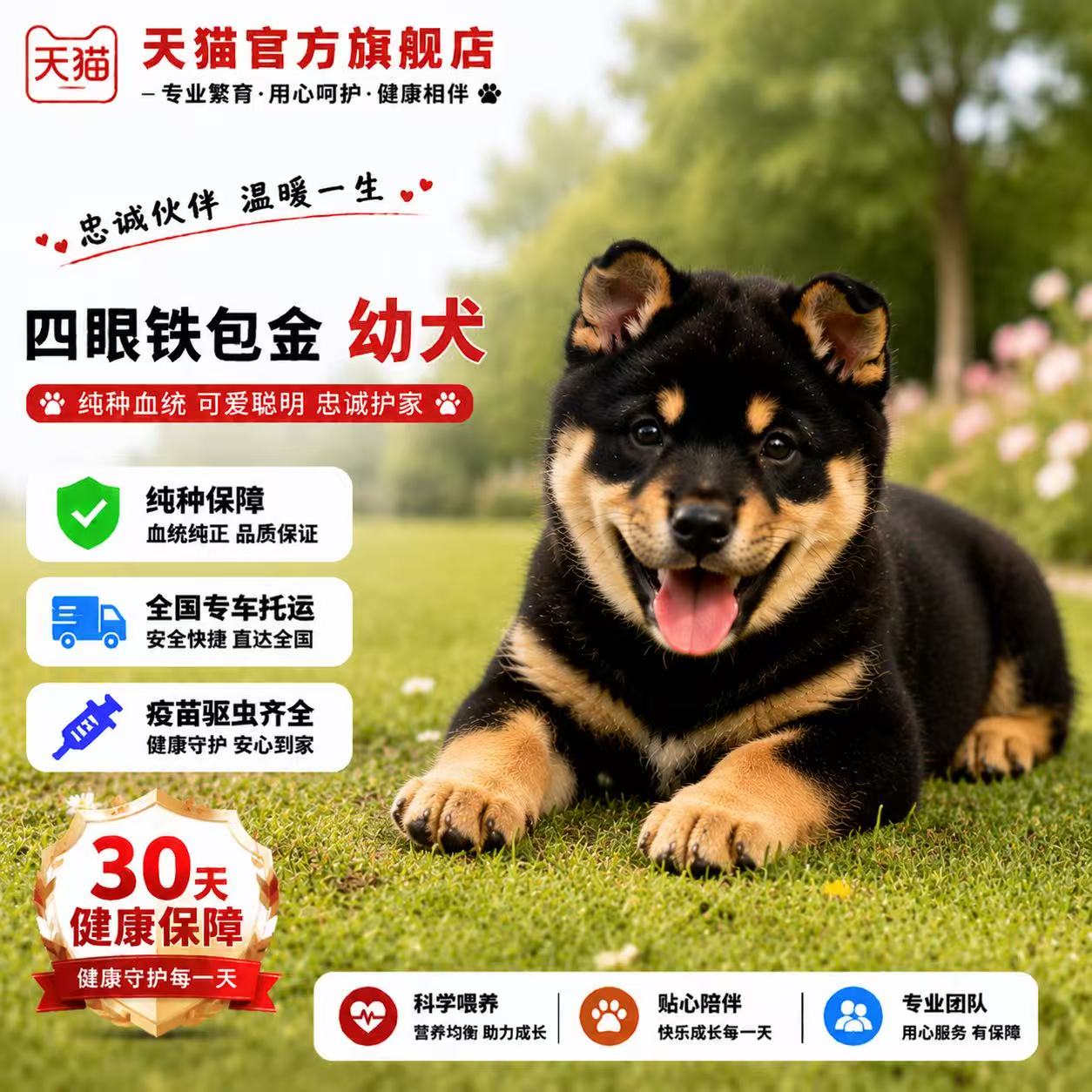巡忠诚狗看门狗广西土猎犬狗便宜图片
