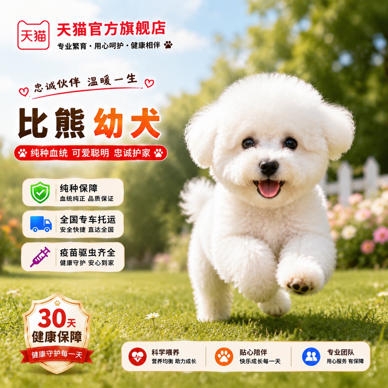 白色小体球形长不大超萌家养活物