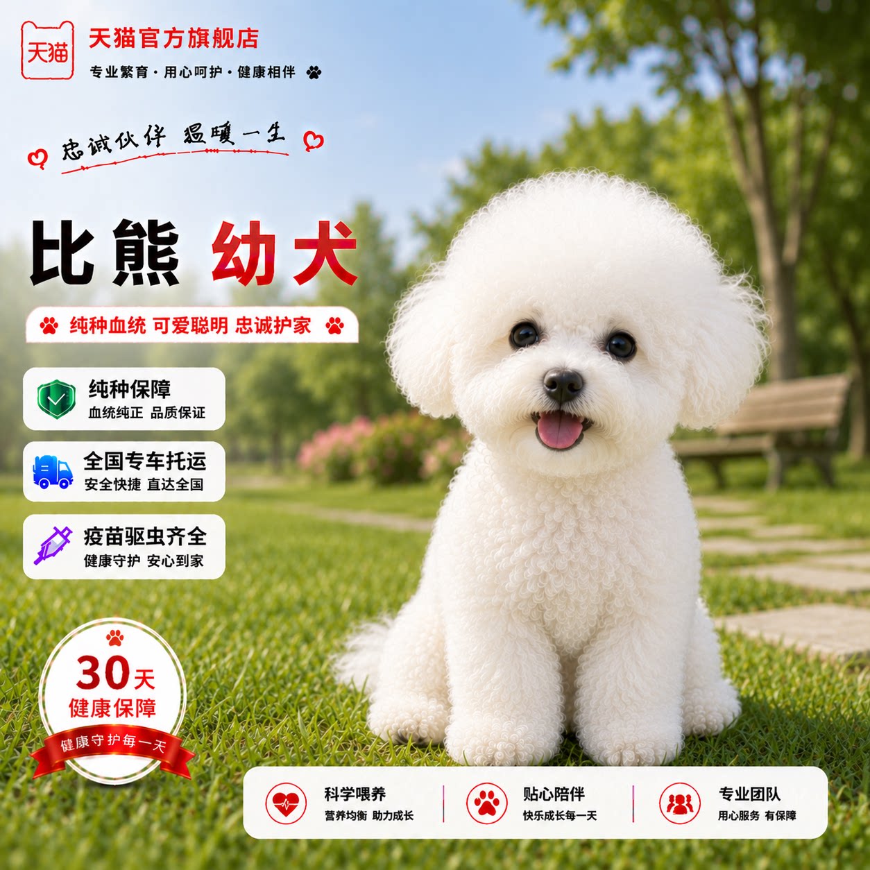 可爱便宜长不大迷你狗圆脸