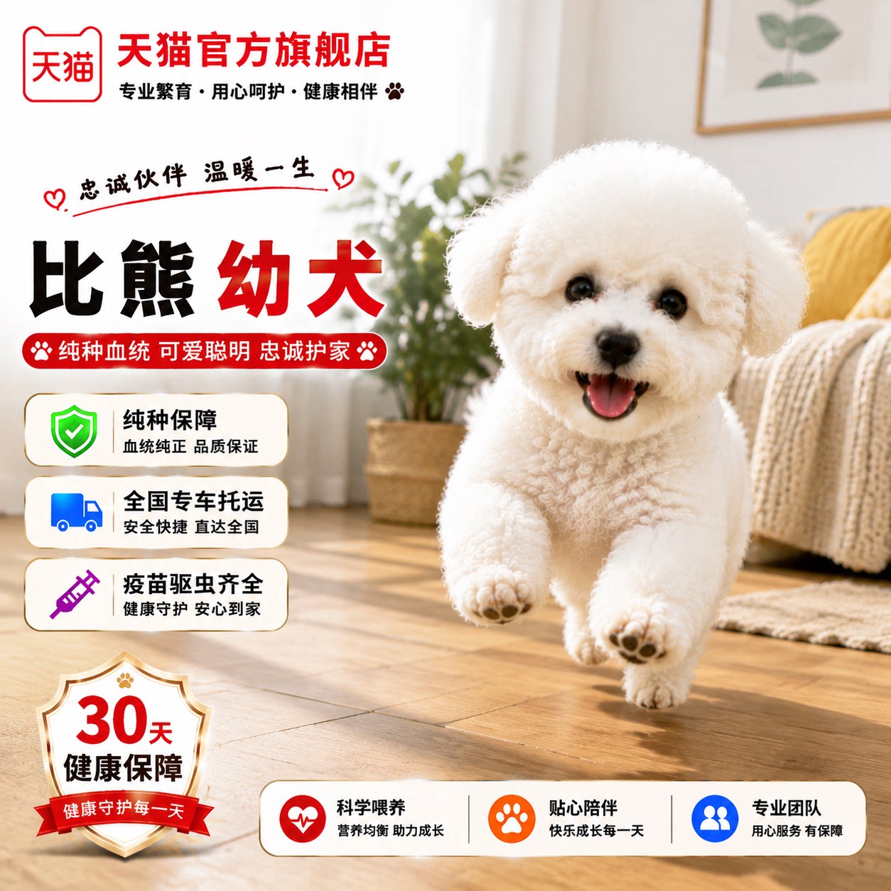 便宜小型犬长不大迷你圆脸白色