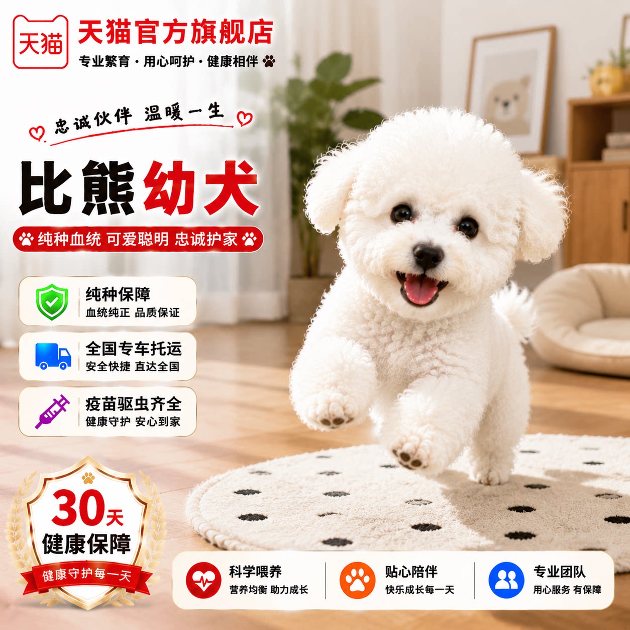 幼崽袖珍活物超小白迷你狗狗球形