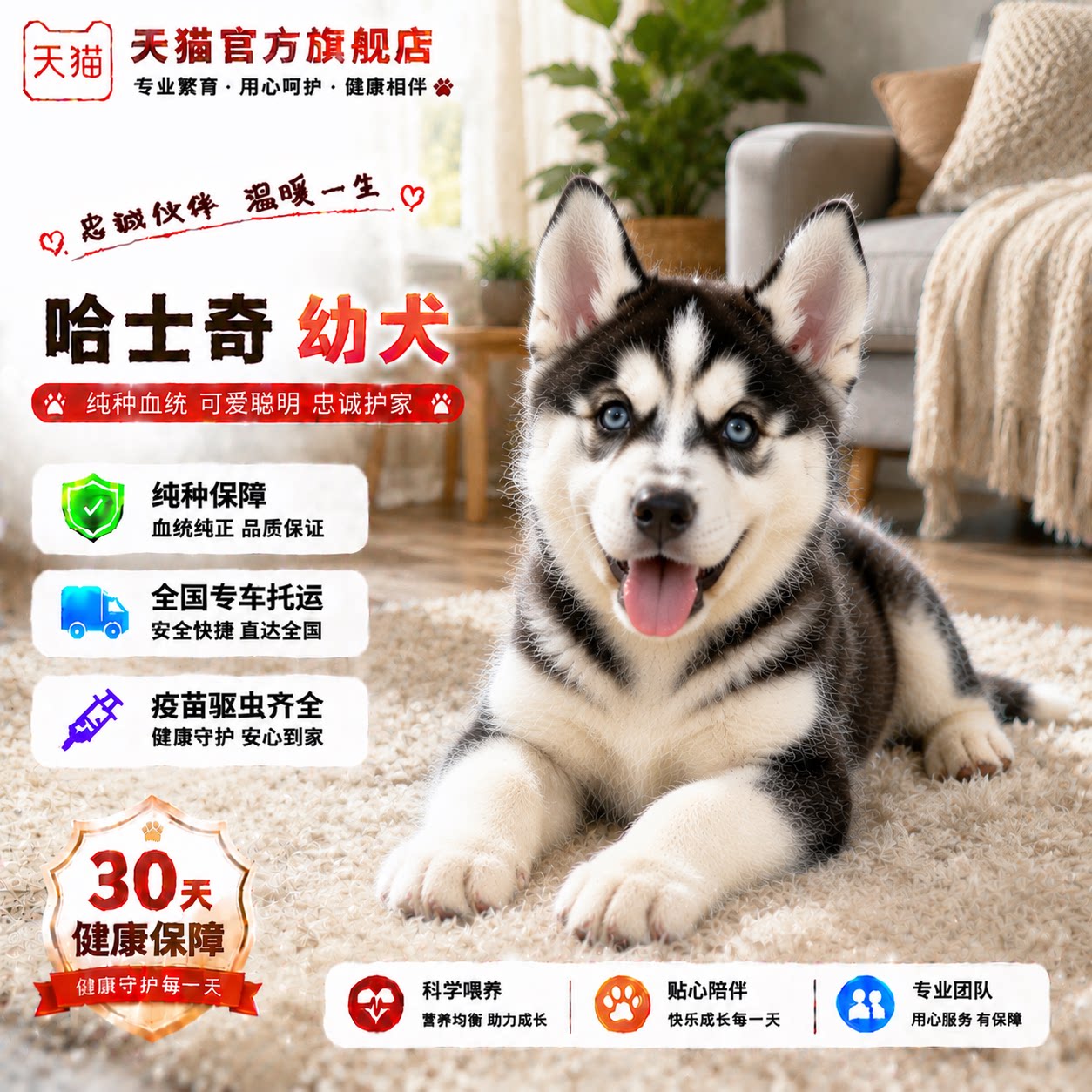 幼崽中型犬活体三只眼家养宠物
