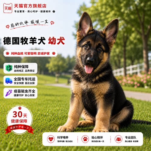 平背黑背狼狗看家犬狼犬幼崽便宜