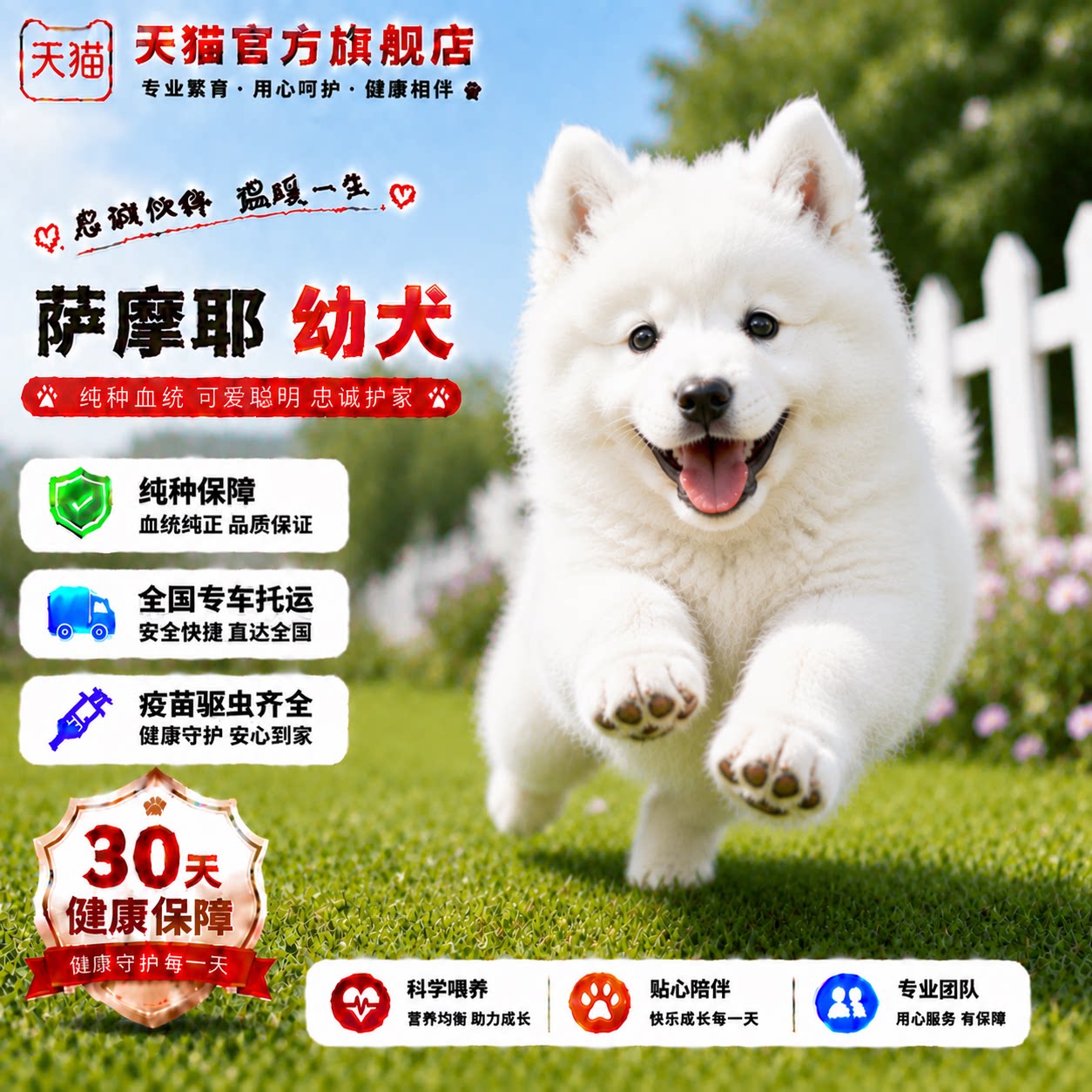 大骨架幼崽网红圆脸活物粘人