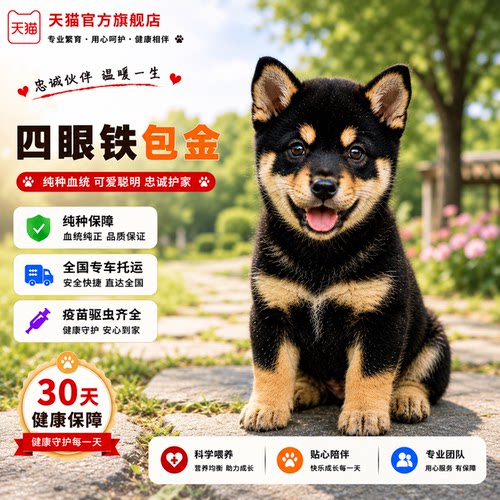 狗狗看门狗护主好养猎犬巡山犬