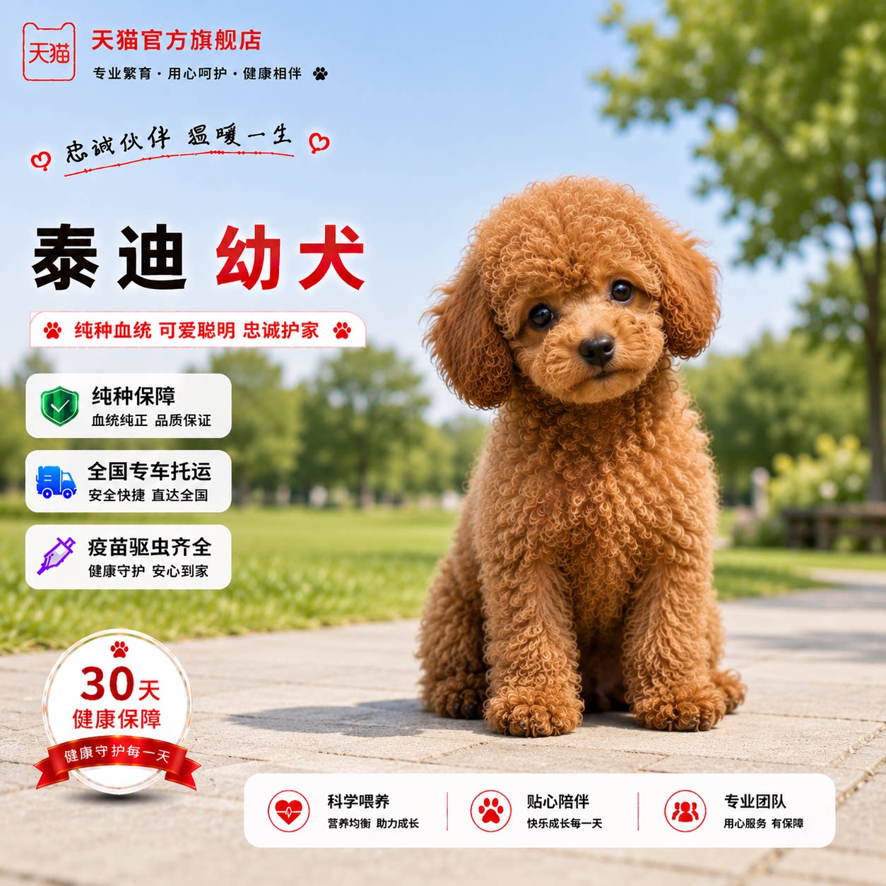 可爱精品陪伴小型犬活物狗幼崽
