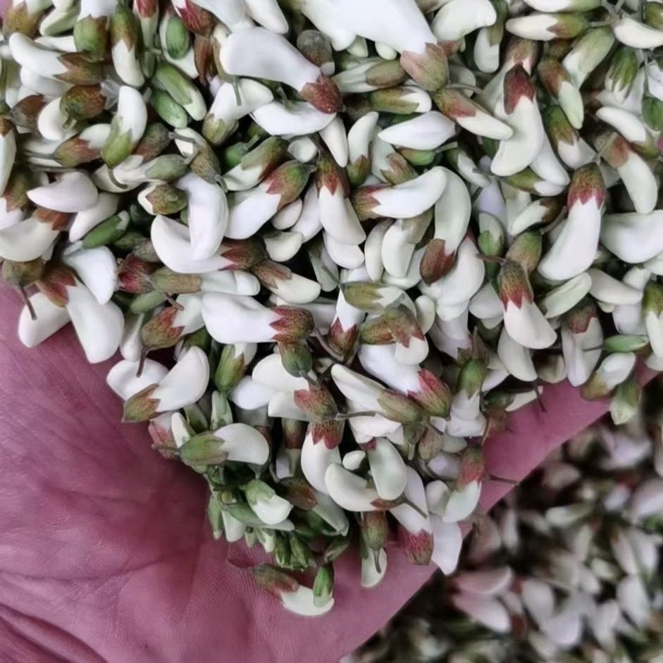 25年新鲜洋槐花农家杨槐花现摘花骨朵蒸野菜槐树花冰冻3斤包邮