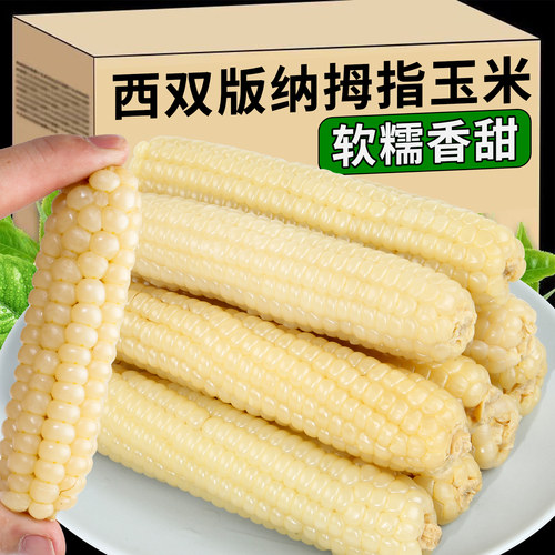 西双版纳拇指小玉米宝宝辅食软糯