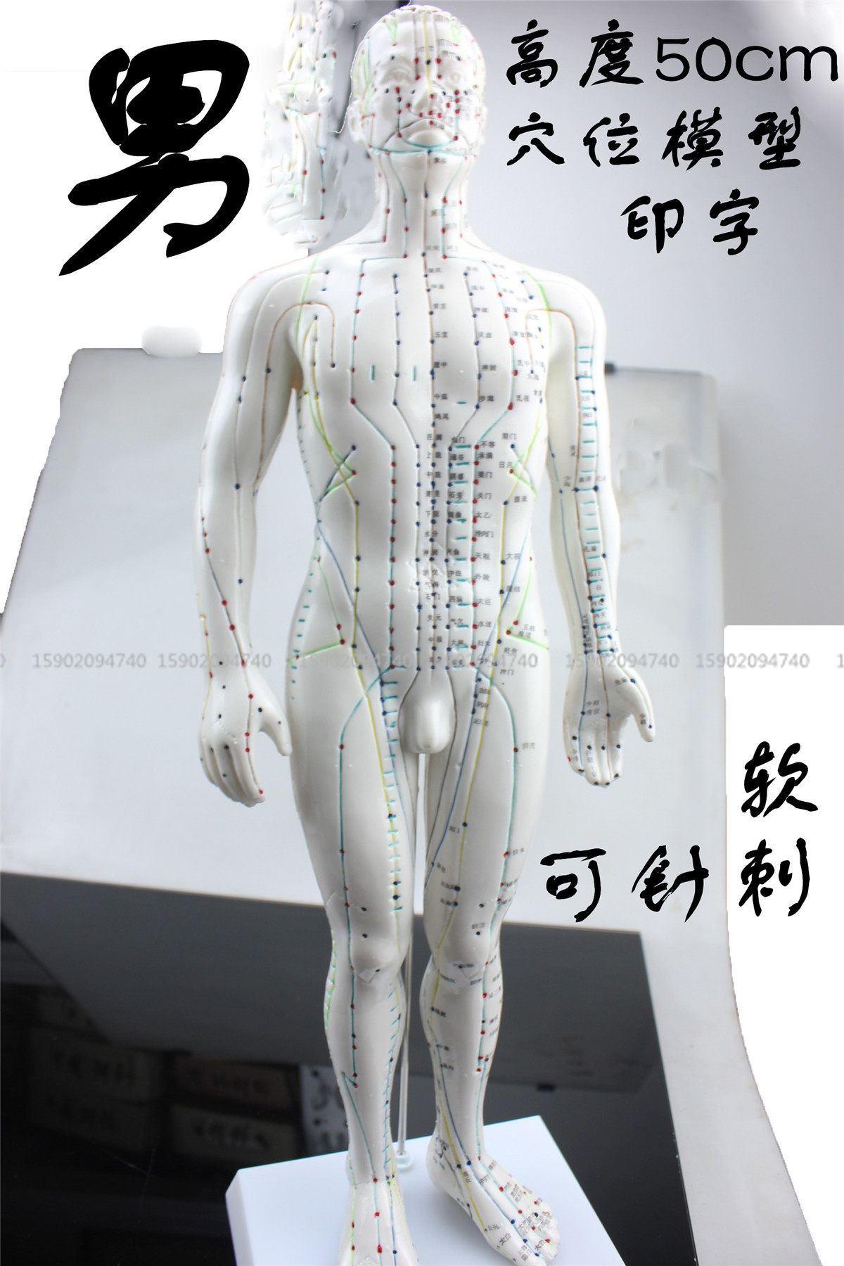 清晰人体穴位模型白色硅胶中医学