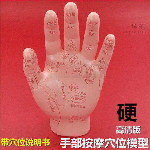 医用伟叶经络通小儿通推拿模型手部特定穴位及发射区模型针灸手模
