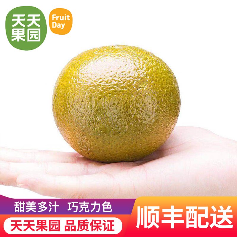 天天果园 澳大利亚巧克力橙8个装 单果180g+巧克力色新鲜多汁甜蜜在类目 水产肉类/新鲜蔬果/熟食, 新鲜水果, 橙中 - 来自Buy2taobao.com提供专业的淘宝代购服务