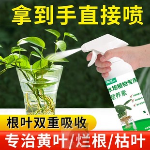 水培植物营养液专用液体肥料通用型绿萝富贵竹花卉铜钱草家用盆栽