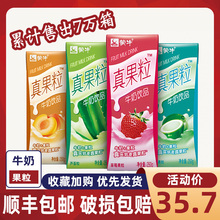 蒙牛真果粒酸奶草莓牛奶250ml*12盒装真果粒酸奶牛奶整箱批特价