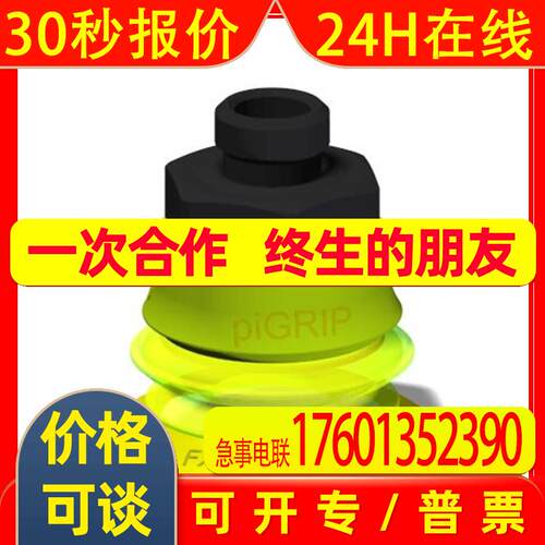 G.FX28T30.B1.S1.G18M.01派亚博PIAB真空吸盘瑞典原装开票9902705