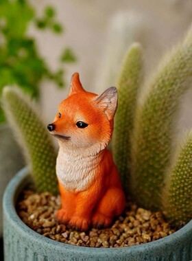 九尾狐狸多肉花盆景装饰摆件户外微景观猴尾柱造景白色小狐狸尾巴