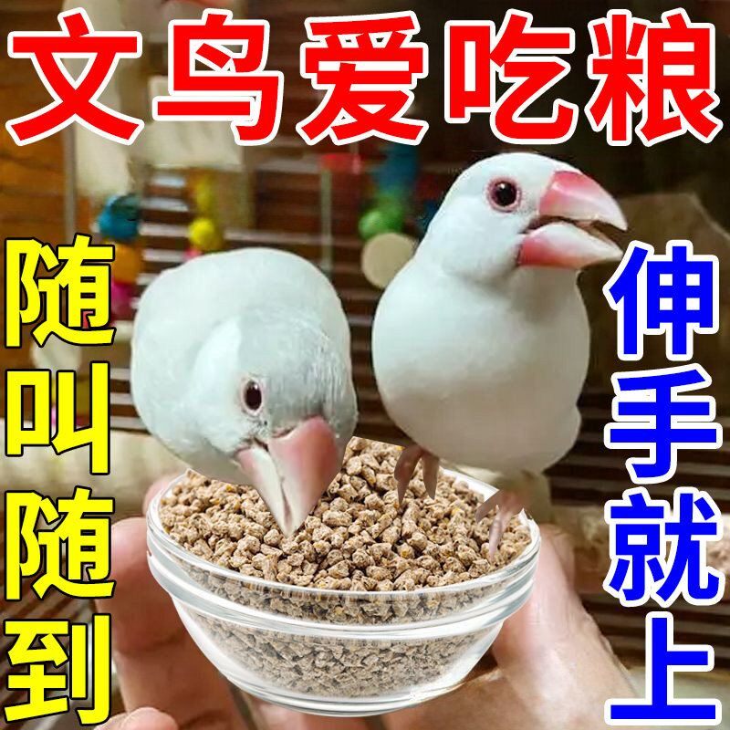 文鸟专用饲料七彩文鸟粮手养喂零食亲近粘人黑白灰雀类幼崽无壳粮