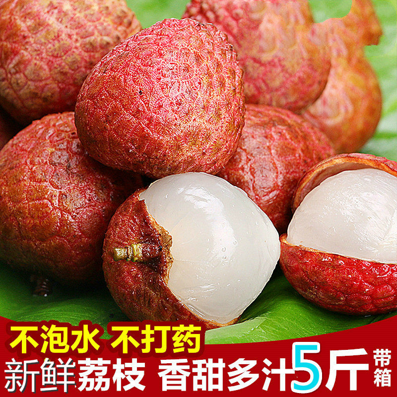 荔枝新鲜现摘现发白糖罂妃子笑黑叶桂味顺丰5斤水果当季整箱包邮|ruв категории водной мясо/свежие фрукты и овощи/еда, свежие фрукты, Личи - от Buy2taobao.com для оказания профессиональной услуги покупки агента Taobao