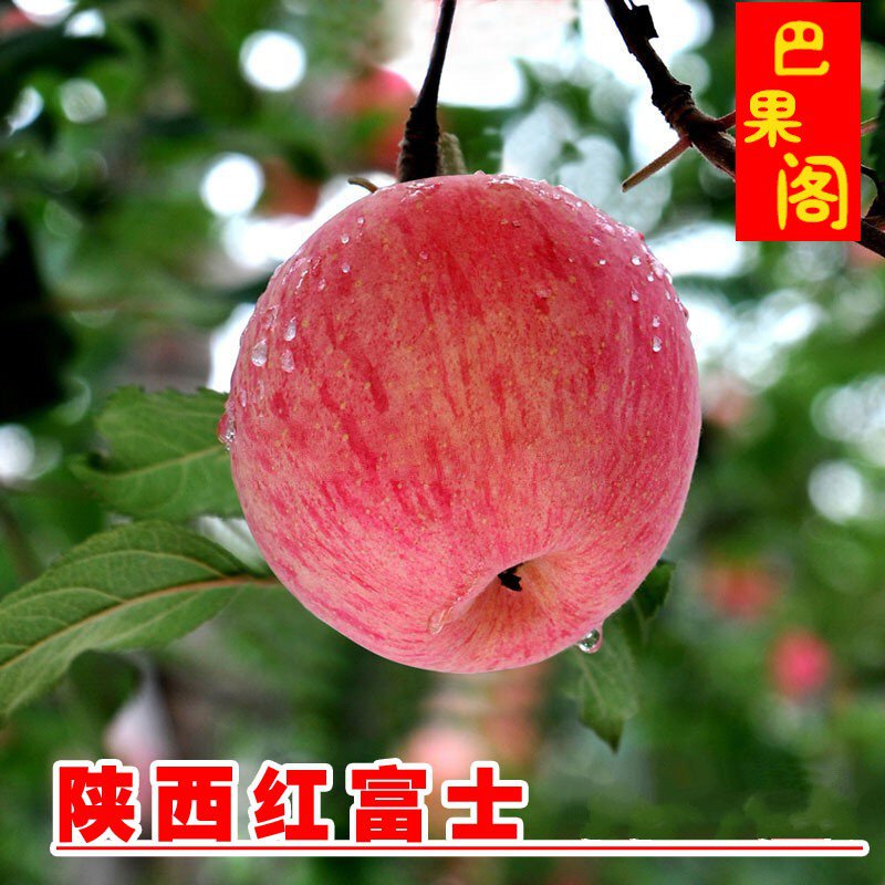 网友分享在meiguo.com的图片