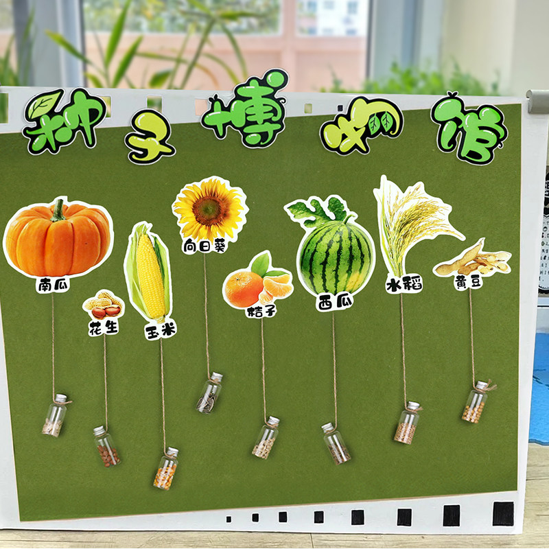 种子博物馆幼儿园中大班植物角认识种子科学益智区角材料自制教具