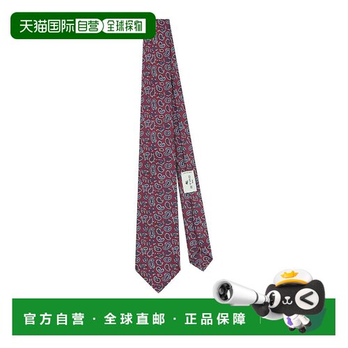 欧洲直邮etro/艾绰 男士 领带