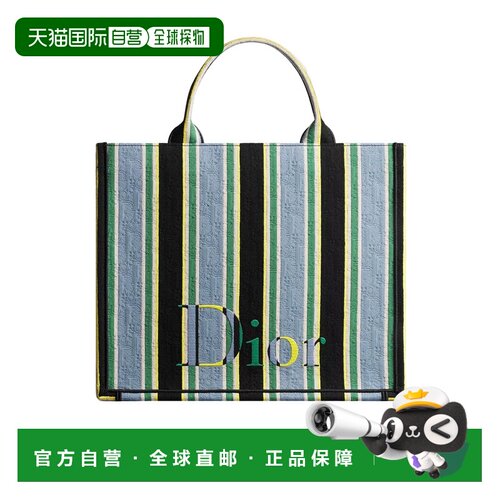 香港直邮CHRISTIAN DIOR 男士手提包 1BTSH299TSLH951 AW2026