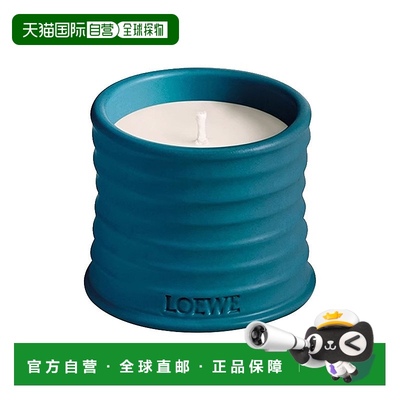 欧洲直邮LOEWE罗意威香氛香薰蜡烛 植物居家170g #INCENSE新款