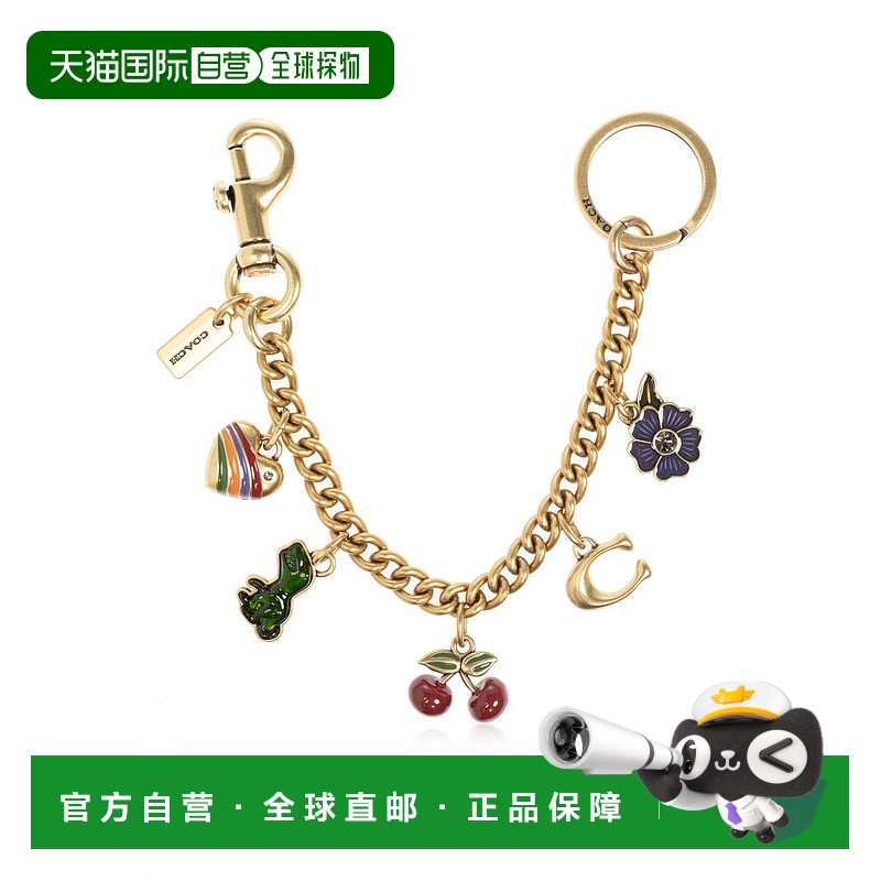 1h可退 香港直邮Coach 蔻驰 女士 圖案鏈條包飾 CN119 metal金属