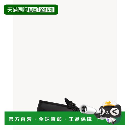 1h可退 香港直邮Saint Laurent 圣罗兰 女士 Logo饰板皮质乐福鞋