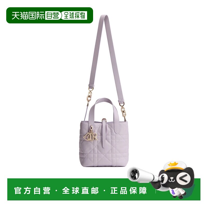 Dior 小号 Dior Toujours 垂直托特包 M2835OSNW斜挎包单肩包
