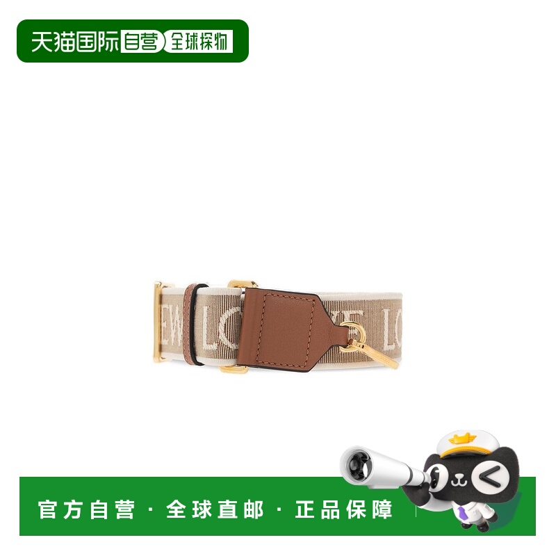1h可退 香港直邮LOEWE 罗意威 女士 Loewe 标志细节包肩带 C073T8