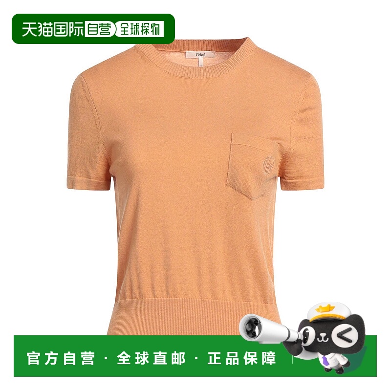 1h可退 香港直邮Chloe 蔻依 女士 毛衣 brown棕色 舒适时尚
