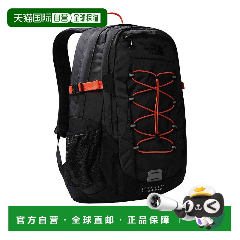 欧洲直邮the north face  双肩包北面背包