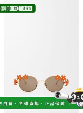 自营1h可退 欧洲直邮Loewe罗意威 女士橙色金属椭圆形太阳镜