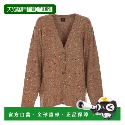 香港直邮PINKO 女士针织衫 105739A2U4C3ZBROWN AW2025 棕色