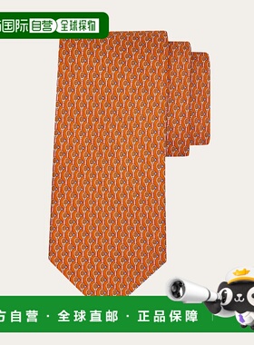 1h可退 欧洲直邮菲拉格慕 25秋冬 351329 789195 男士 领带