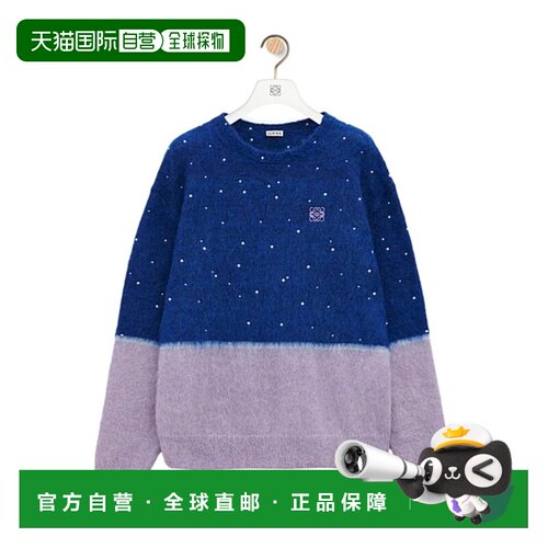 香港直邮LOEWE 女士针织衫 S359Y14KGX3893 AW2025 蓝色 长袖毛衣