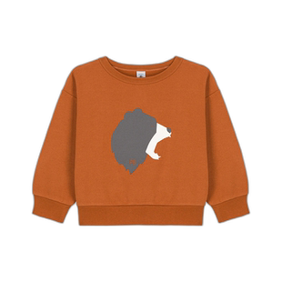 欧洲直邮Petit Bateau 小帆船 男孩 CARTABLE 卫衣 棕色