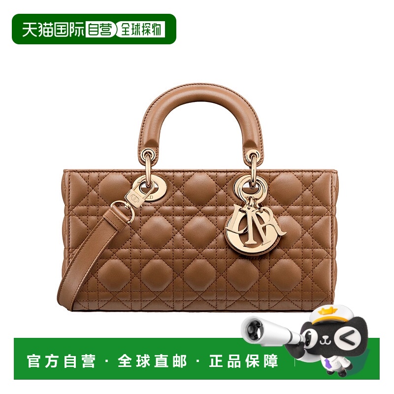 香港直邮Dior 坠饰单肩包 M0540ONGE迪奥